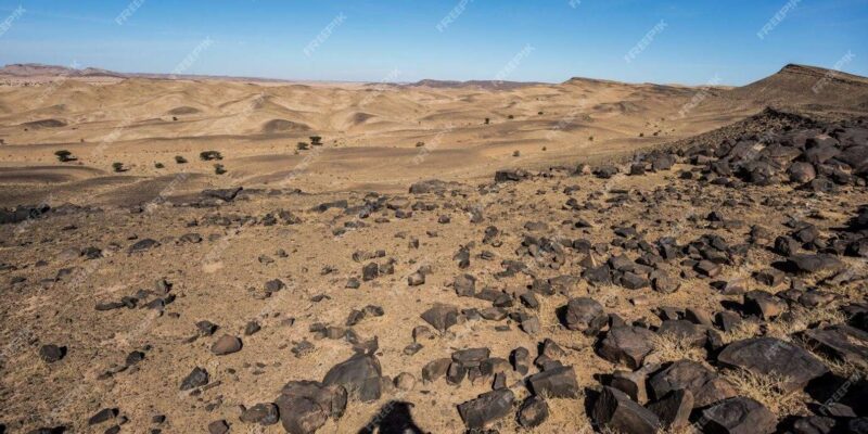 2-Day Excursion to the Zagora Desert - Inclusions