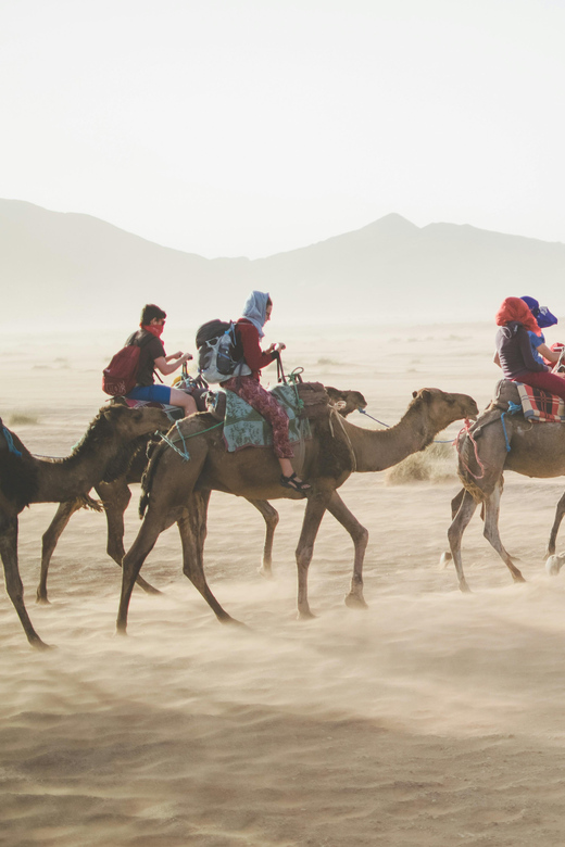 2--Day Expedition to the Zagora Desert - Frequently Asked Questions
