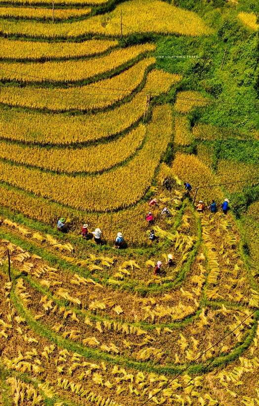 2-day Experiences of Sapa Ethnic Homestay Trek - Trekking Through Hmong Villages and Rice Terraces