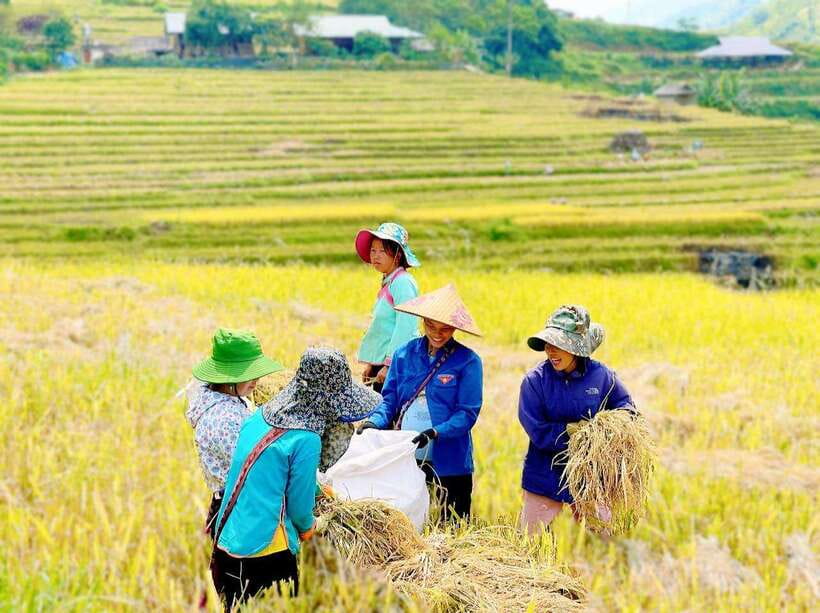 2-day Experiences of Sapa Ethnic Homestay Trek - Cozy Homestay Experience