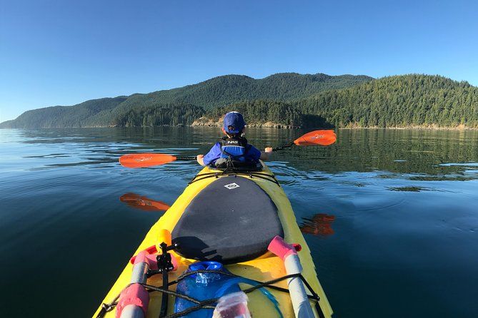 2-Day Fully-Catered Kayak Camping Trip in the San Juan Islands - Professional Guides Role
