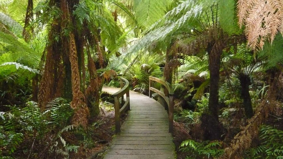 2 Day Great Ocean Road Small Group Tour - Itinerary