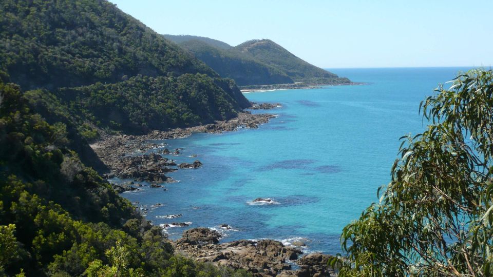 2 Day Great Ocean Road Small Group Tour - Highlights