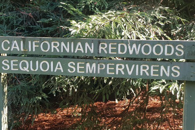 2 Day Great Ocean Road Tour and Platypus paddle - A Detailed Look at What to Expect