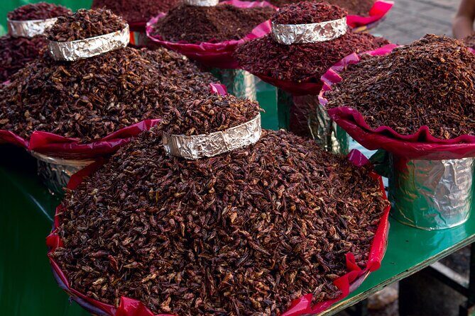 2-Day Guided Tour in Oaxaca with a Certified Guide - Inclusions and Practicalities