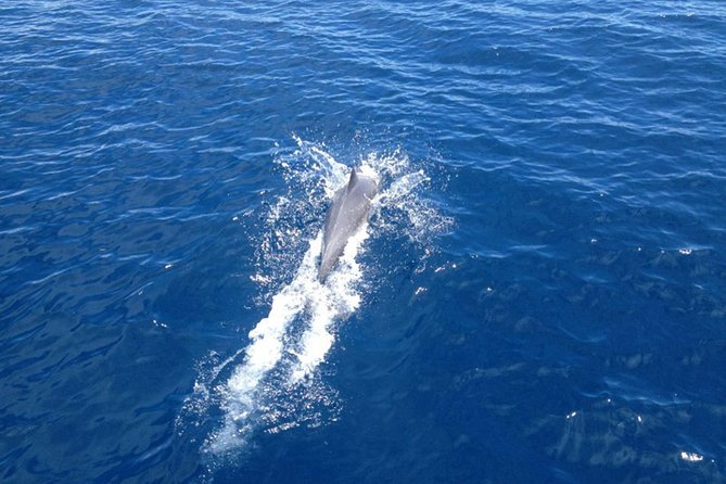 2-Day Halkidiki Sailing Cruise - The Sum Up