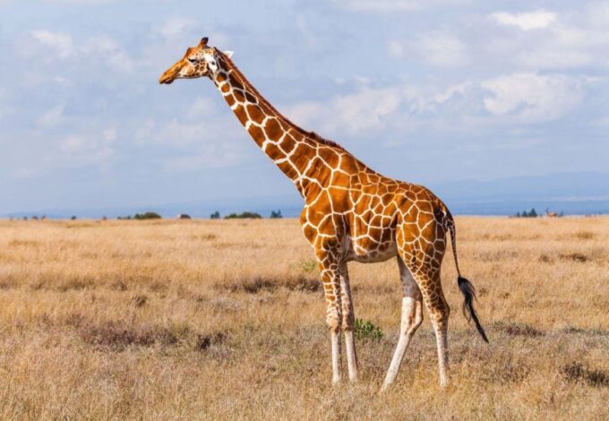 2 Day Hluhluwe Imfolozi & Isimangaliso Tour From Durban - Booking Flexibility