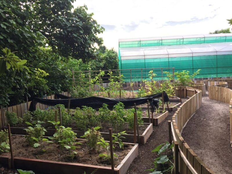 2-Day Introduction to Permaculture Design: Hands-On Workshop - Languages Offered