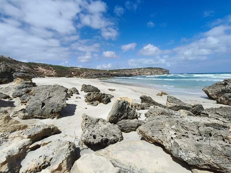 2-Day Kangaroo Island Private Tour - An In-Depth Look at the 2-Day Kangaroo Island Private Tour