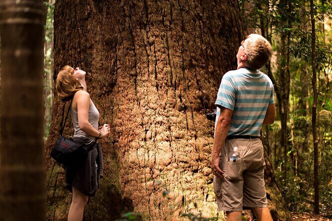 2 Day Kgari Fraser Island Small Group Camping Tour - Who Should Consider This Tour?