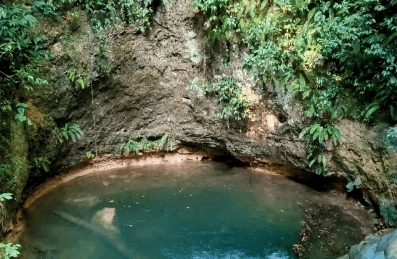 2 Day Lacandon Jungle, the Lost City and Bonampak Ruins - Logistics and Value