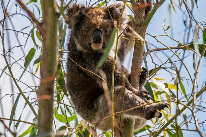 2 day Luxury Private Tour in Kangaroo Island - Final thoughts