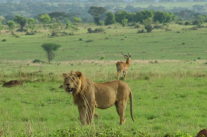 2 Day - Murchison Falls National Park Big 5 Safari - Inclusions and Exclusions