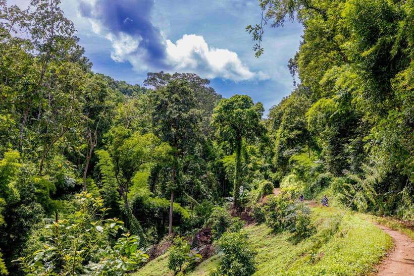 2 Day Overnight Adventure off Road Scooter Tour; Amaz Views - Meals and Dining Experience