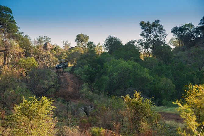 2 Day Pilanesberg Camping Safari - Frequently Asked Questions
