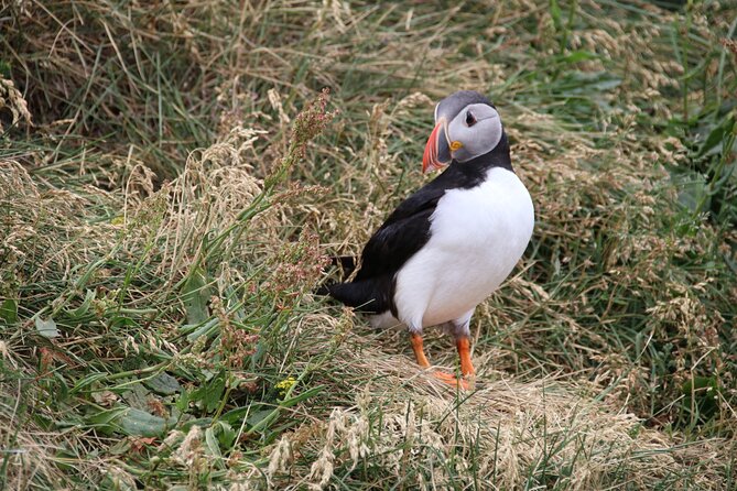2-Day Private Iceland South Coast and Glacier Lagoon Tour - The Sum Up