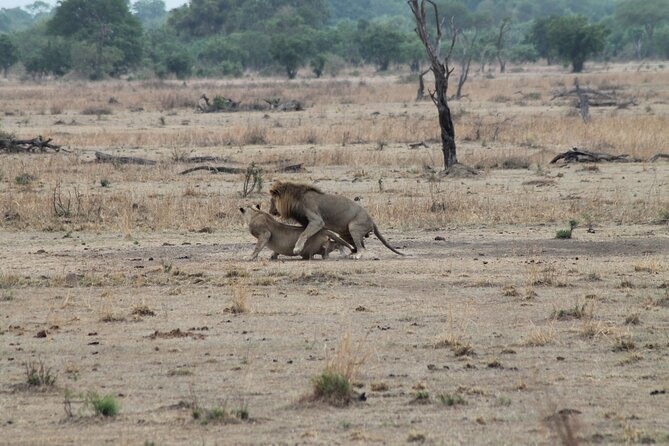 2-Day Private Mikumi National Park Tour With Pickup - Pricing Details