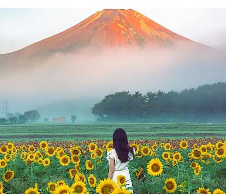 2-Day Private Tokyo MT Fuji and Hakone Tour With Guide - Towering Tokyo Skytree