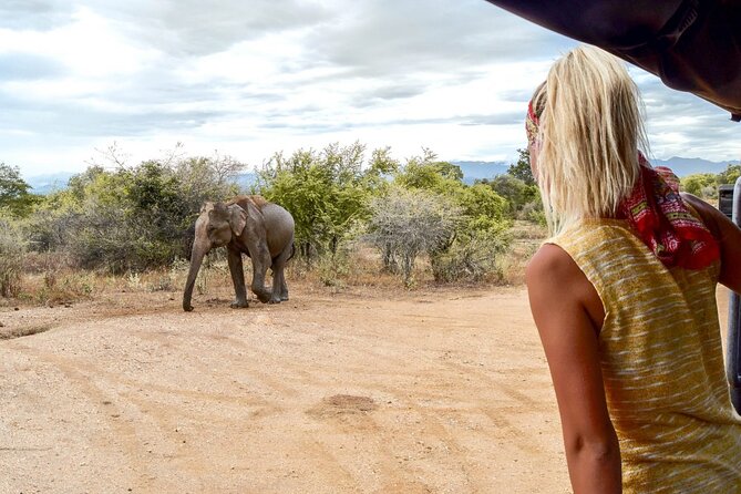 2 Day Private Tour of Yala & Udawalawe (Double Safari Tour) - All Inclusive - Day 2: Udawalawe Safari