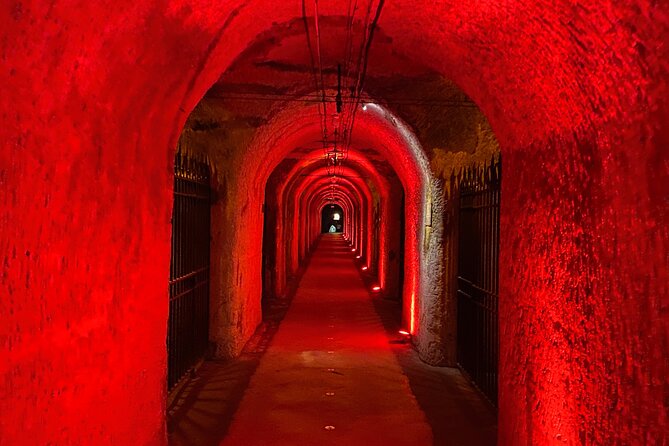 2-Day Private Tour to Champagne & Chablis: Moët Et Chandon Etc, 19 Wines Tasting - Key Points