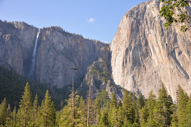 2 Day Private Tour to Yosemite National Park - The Value of This Yosemite Tour