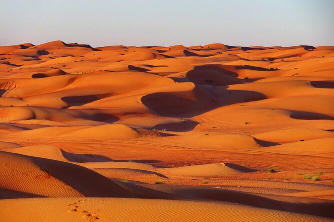 2 Day Private Trip to Two Oasis With Overnight Desert Camping - Inclusions and Amenities