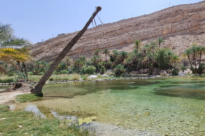 2-Day Private Wahiba Sands Desert Camping Tour From Muscat - Discovering Wadi Tiwis Lush Plantations