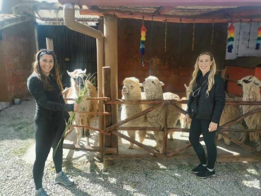 2 Day Sacred Valley and Machupicchu by Vistadome Train - Accommodation