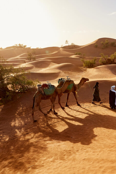 2-Day Sahara Adventure to Zagora and Ait Ben Haddou - Memorable Camel Rides