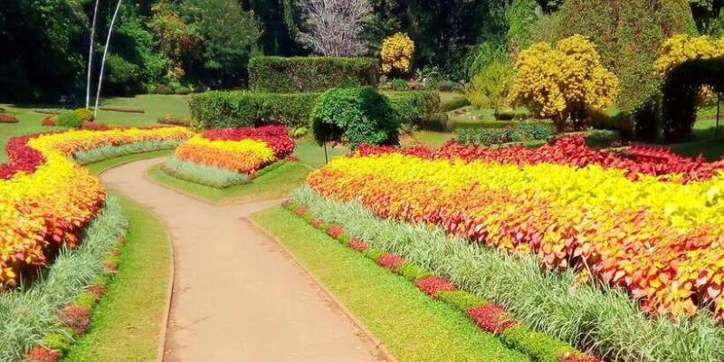 2-Day Scenic Tour from Kandy to Ramboda & Nuwara Eliya - Who Is This Tour Best For?