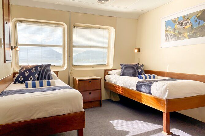 2-Day Snorkelling Experience - Great Barrier Reef Twin Share - Who Is This Tour Best For?