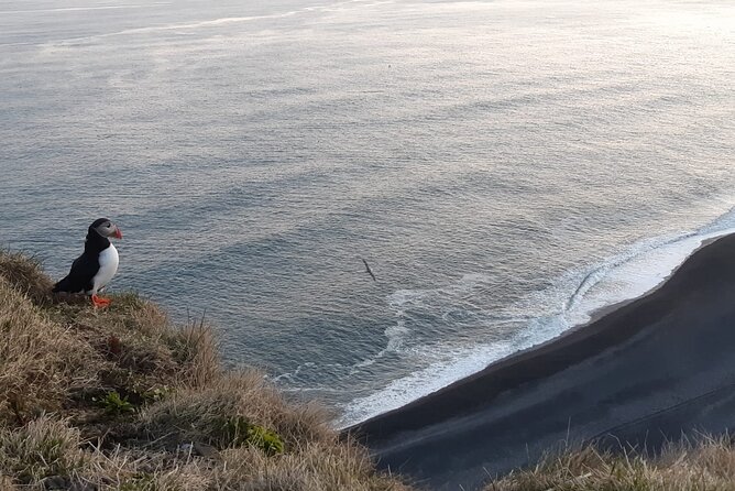 2-Day South Coast Tour | Golden Circle, South Coast & Black Beach - Customer Reviews and Feedback