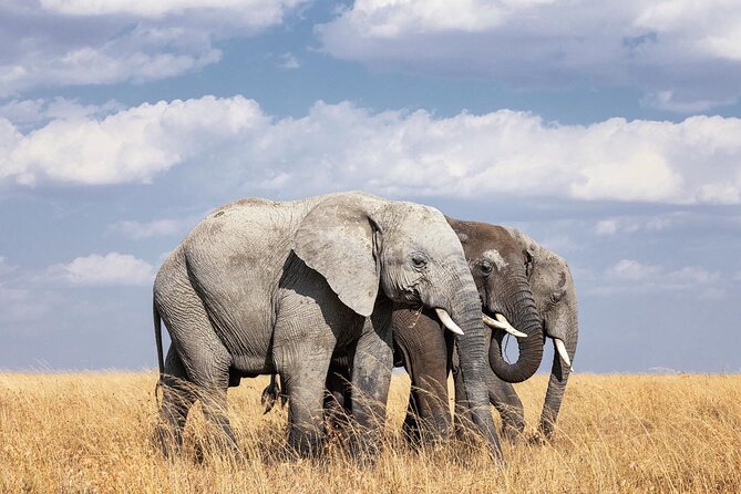 2 Day Tanzania Tour - Inclusions
