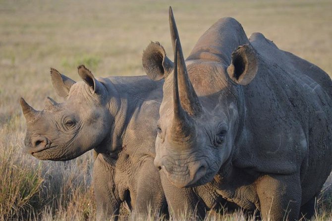 2 Day: Tarangire and Ngorongoro Crater - Health and Accessibility Considerations