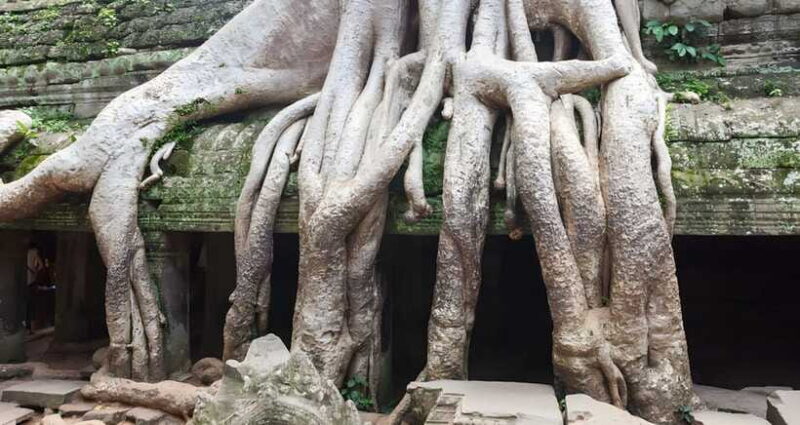 2-Day Temple private Tours - Frequently Asked Questions