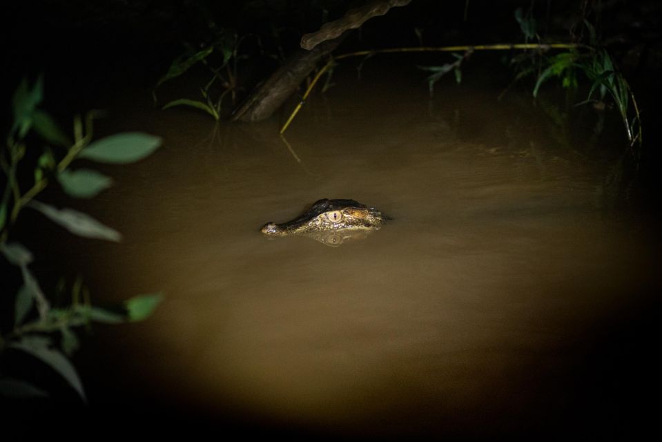 2 Day Tour in Tambopata Amazon - Key Points