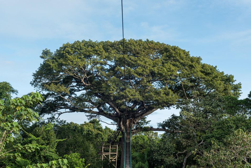 2 Day Tour in Tambopata Amazon - Day 1 Activities