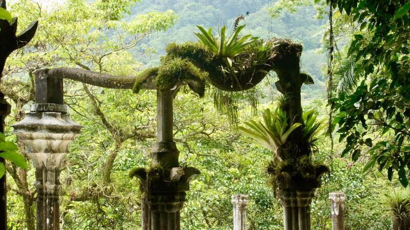 2 day tour Puente de Dios and Xilitla from San Luis Potosí - The Value of the Tour