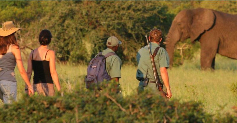2 Day Tour Tala Ga Reserve & Drakensberg Mountains Fr Durban - Day 1 Itinerary