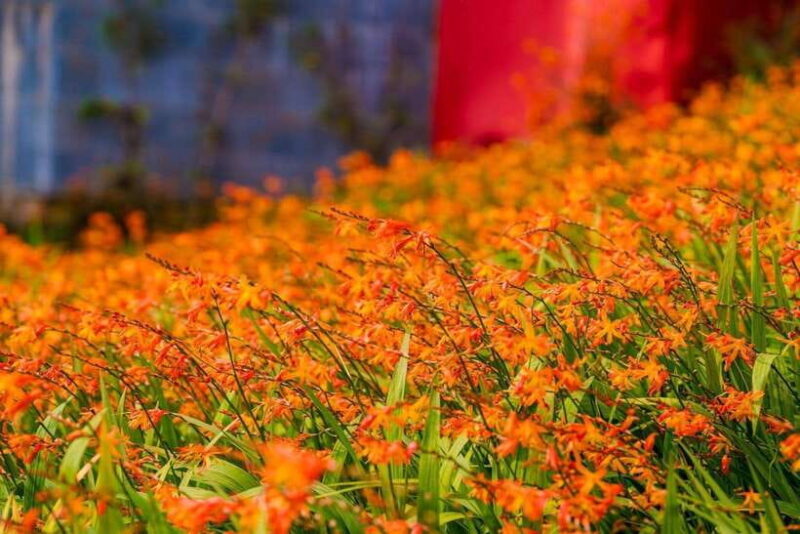 2-Day Tour To Sapa Stay Hotel With Beautiful Natural View - Important Travel Tips