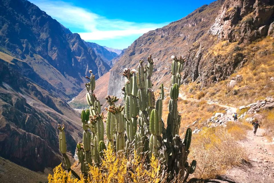 2-Day Tour to the Colca Valley and the Cruz Del Condor - Key Points