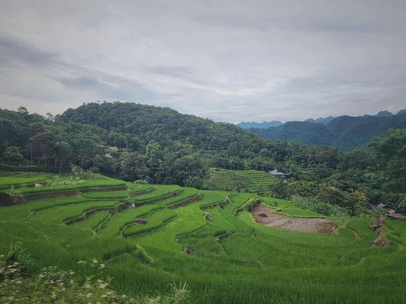 2 Day Trekking In Pu Luong Loop & Overnight At Homestay - Highlights of the Trek