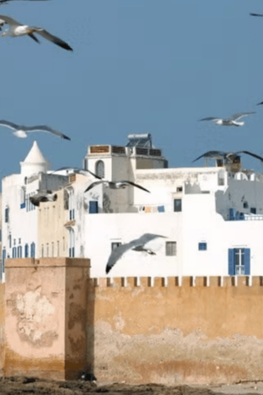 2-Day Trip to Essaouira From Marrakech - Exploring Essaouiras Vibrant Medina
