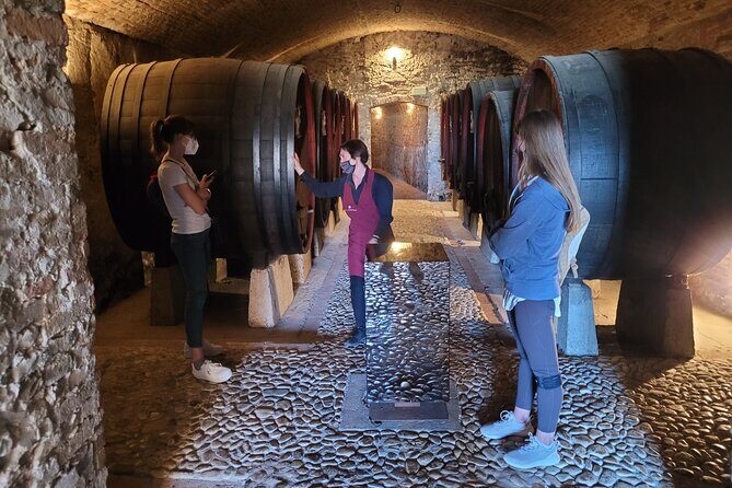 d519-7102bikechianti7