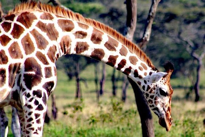 2-Day Wildlife Safari in Lake Mburo National Park - Pricing and Booking Information