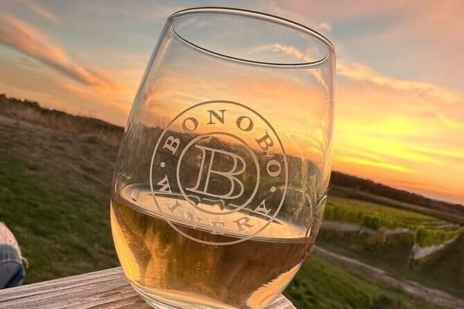 2 Day Wine Tour NON BUS Traverse City Wine Country 2 Peninsula - A Deep Dive Into the Experience