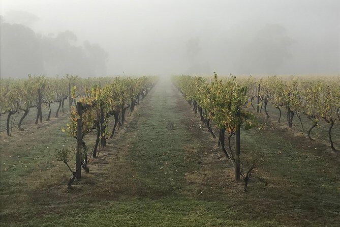 2-Day Yarra Valley Wine Tour with Luxury Vineyard Resort Stay - FAQ
