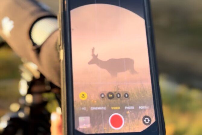 2 Day Yellowstone Safari Upper and Lower Loop Bozeman - An In-Depth Look at the 2-Day Yellowstone Safari