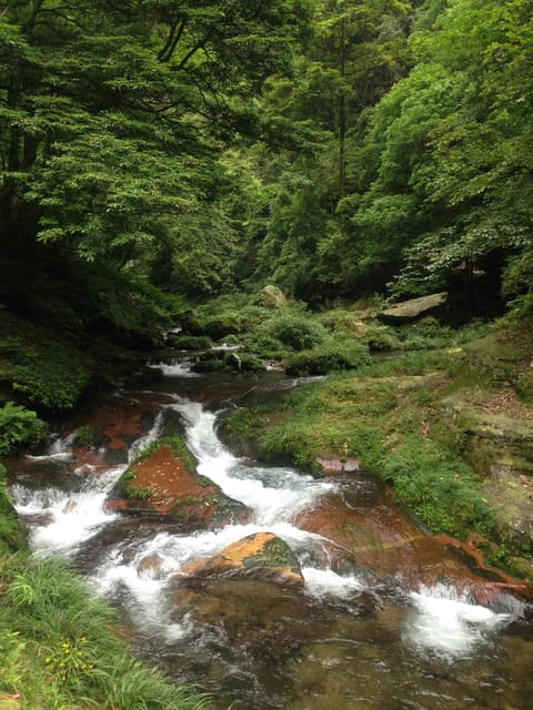2-Day Zhangjiajie Tour Including Yuanjiajie Mountains - Important Information for Participants