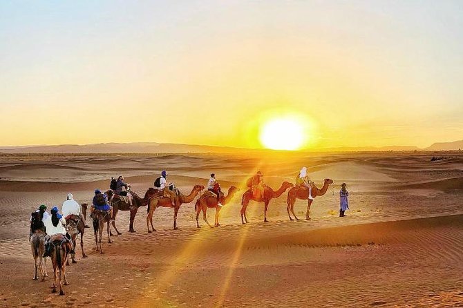 2 Days 1 Night Amazing Zagora Desert Tour From Marrakech - Highlights of Day 2